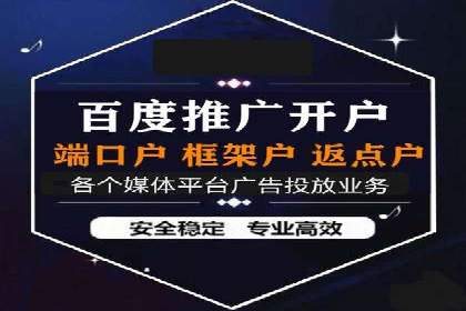 某品牌的信息流广告投放策略及效果展示